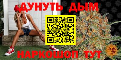 крисы Малгобек