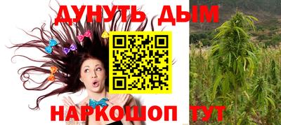 крисы Малгобек
