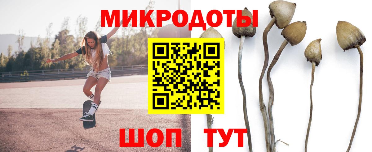 Псилоцибиновые грибы Magic Shrooms Прохладный